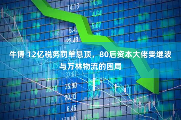 牛博 12亿税务罚单悬顶，80后资本大佬樊继波与万林物流的困局