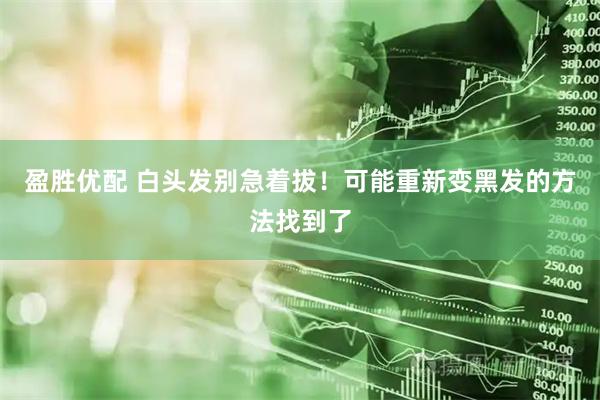 盈胜优配 白头发别急着拔！可能重新变黑发的方法找到了