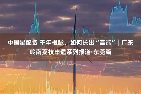 中国星配资 千年根脉，如何长出“高端” | 广东岭南荔枝申遗系列报道·东莞篇