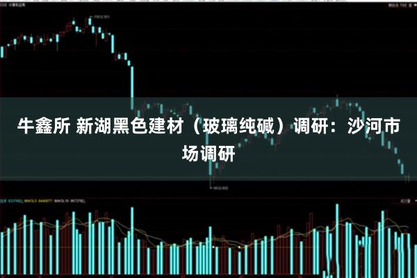 牛鑫所 新湖黑色建材（玻璃纯碱）调研：沙河市场调研